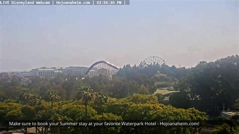 disneyland live cams|Mattercam